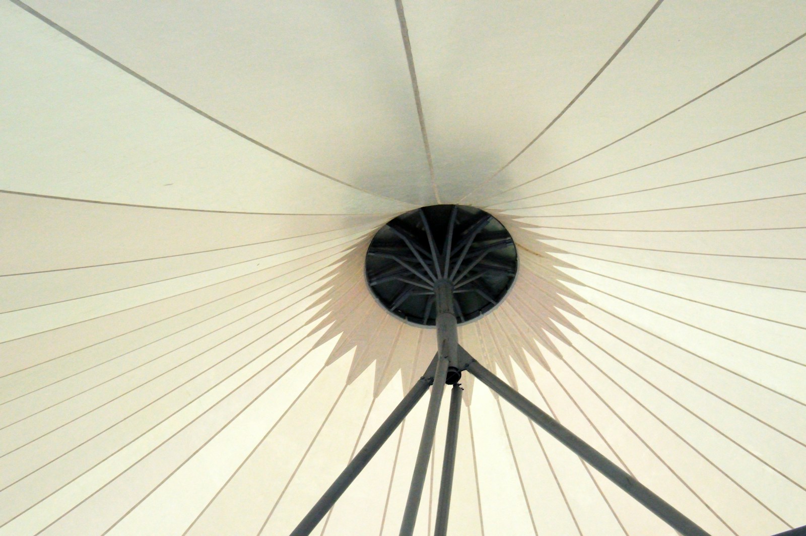 a black lamp shade